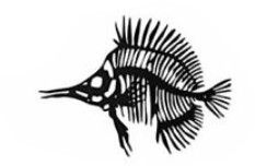 Photo 1 of (BENT NOSE)
flat black metal fish bones for wall 