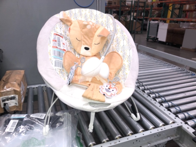 Photo 2 of Fisher-Price Fawn Meadows Deluxe Bouncer
