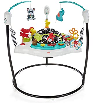 Photo 1 of Fisher-Price Animal Wonders Jumperoo, White
