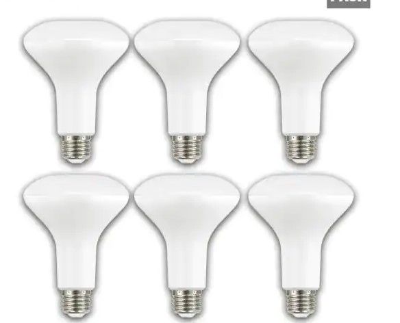 Photo 1 of EcoSmart
65-Watt Equivalent BR30 Dimmable ENERGY STAR LED Light Bulb Soft White (6-Pack)