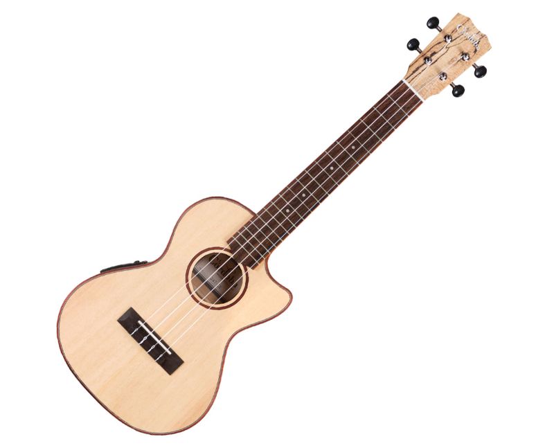 Photo 1 of Cordoba 24T-Ce Spruce Spalted Maple Cutaway Tenor Acoustic-Electric Ukulele Natural
