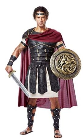 Photo 1 of California Collection Roman Gladiator Warrior Costume medium
