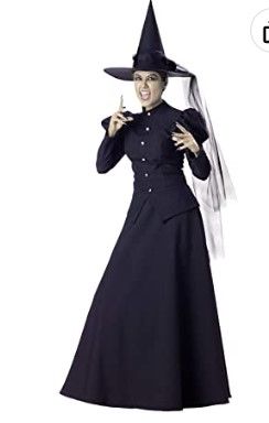 Photo 1 of InCharacter Wretched Witch Adult Costume
 xl