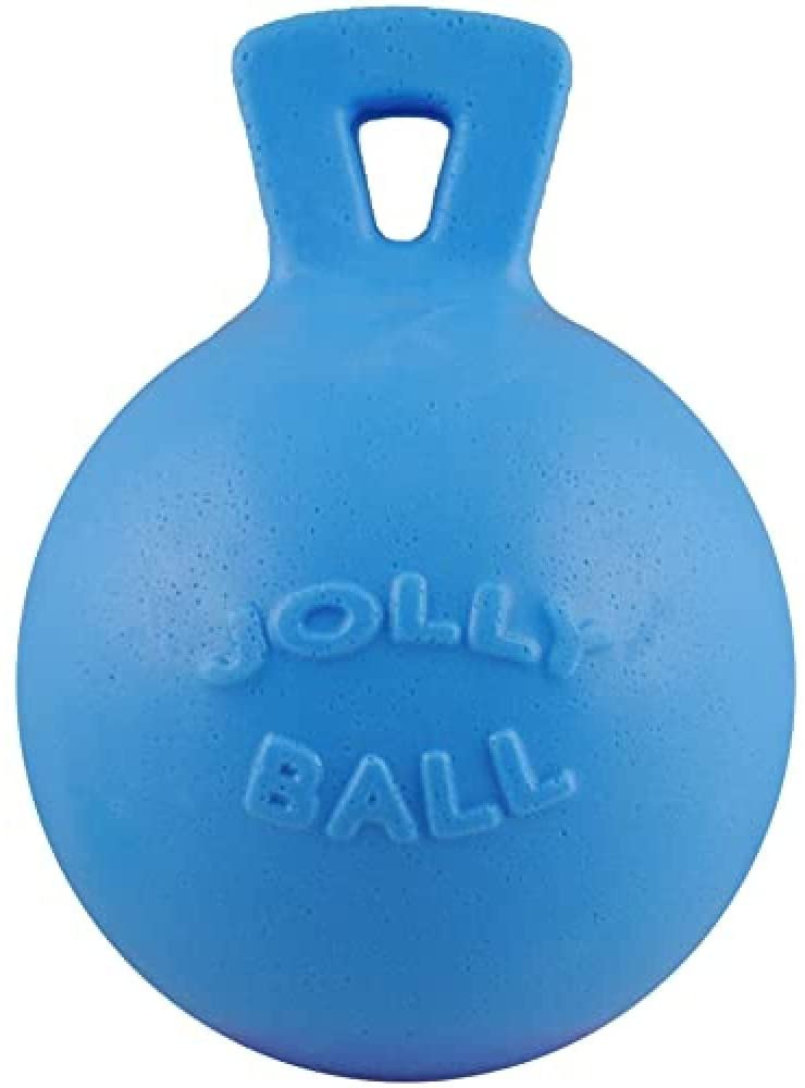 Photo 1 of **Minor Damage** Jolly Pets Tug-n-Toss Heavy Duty Dog Toy Ball with Handle, 8 Inches/Large, Blueberry
