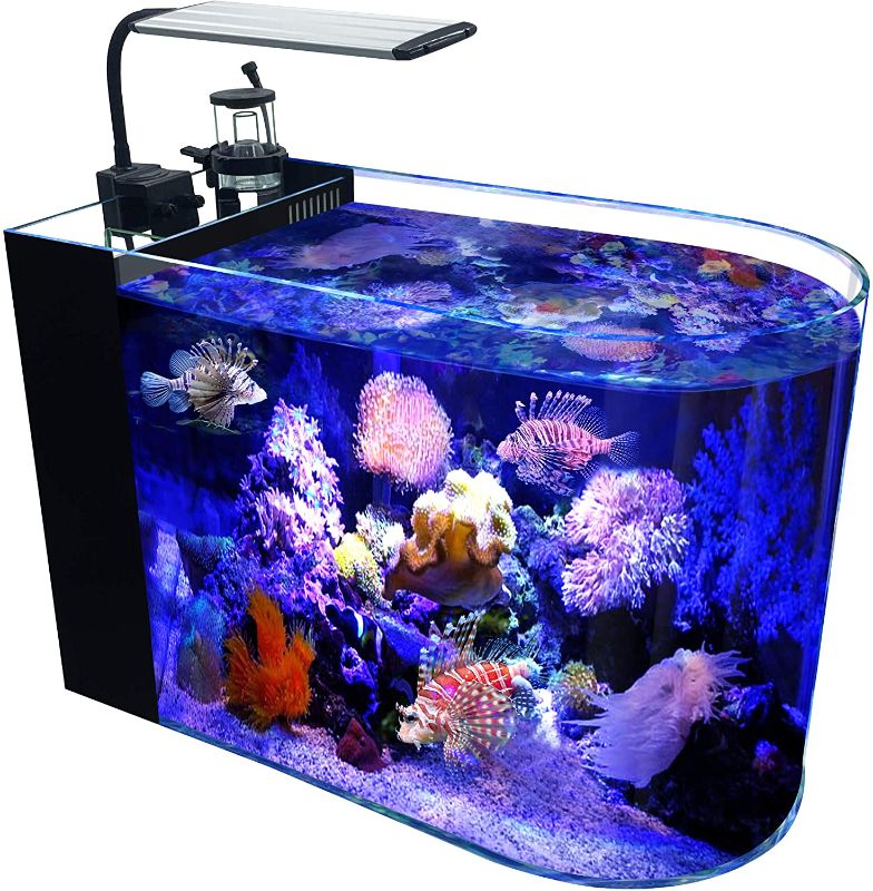 Photo 1 of **DAMAGED**
GankPike 12 Gallon Saltwater Aquarium Full Bullnose Shape Low Iron Aquarium Ultra Clear Glass Marine Fish Tank Reef Tank with Lid, Protein Skimmer, LED Light, Heater, LCD Digital Thermometer and Pump