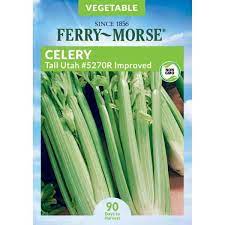 Photo 1 of 15 PACK**
Ferry-Morse #5270R Celery Tall Utah Improved Seed