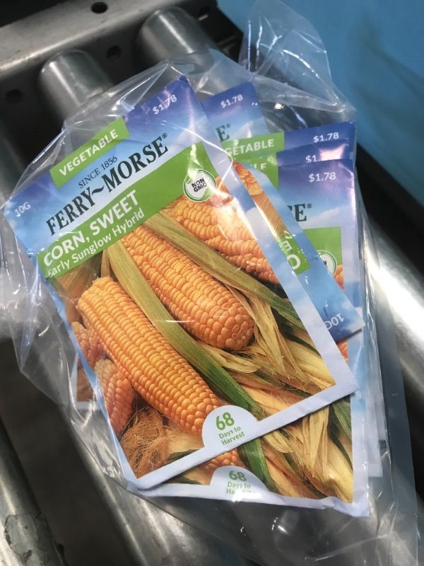 Photo 2 of 15 PACK**
Ferry-Morse Sweet Corn Early Sunglow Hybrid Vegetable Seed