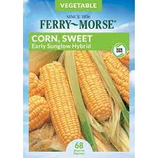 Photo 1 of 15 PACK**
Ferry-Morse Sweet Corn Early Sunglow Hybrid Vegetable Seed