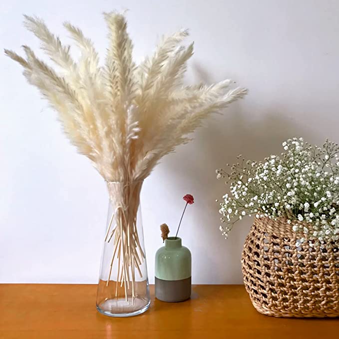 Photo 1 of Natural White Pampas Grass, 30 Pieces - 17" , Pampas Grass Bouquet for Weddings, Boho Decor, Gifts and Floral Arrangements, Sustainably Grown Pampas Grass , Home & Kitchen Decoration - SMTCoffee
