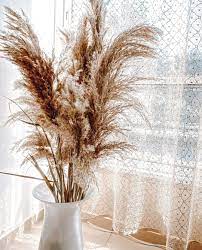 Photo 1 of EMIR AND ODIN 40INCH 15 STEMS DRIED PAMPAS WEDDING AND EVENTS