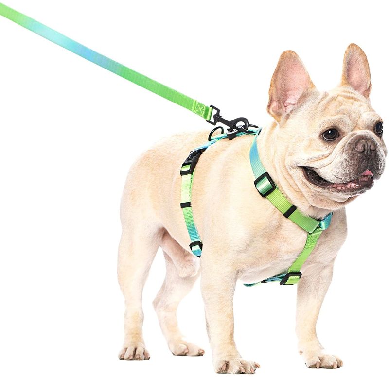 Photo 1 of TailSweetie Dog Harness-LARGE