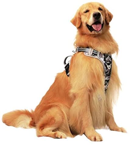 Photo 1 of -MorningRaise Dog Harness NoPull Dog Harness with 2 Leash Clips Easy Control for Medium Large Dogs.Pet Vest with Vetical Handle Adjustable Reflective Straps
Color:ash
Size:Medium
-YoneKiera Cat Harness Leash Set for Walking, Escape Proof and Easy Control 