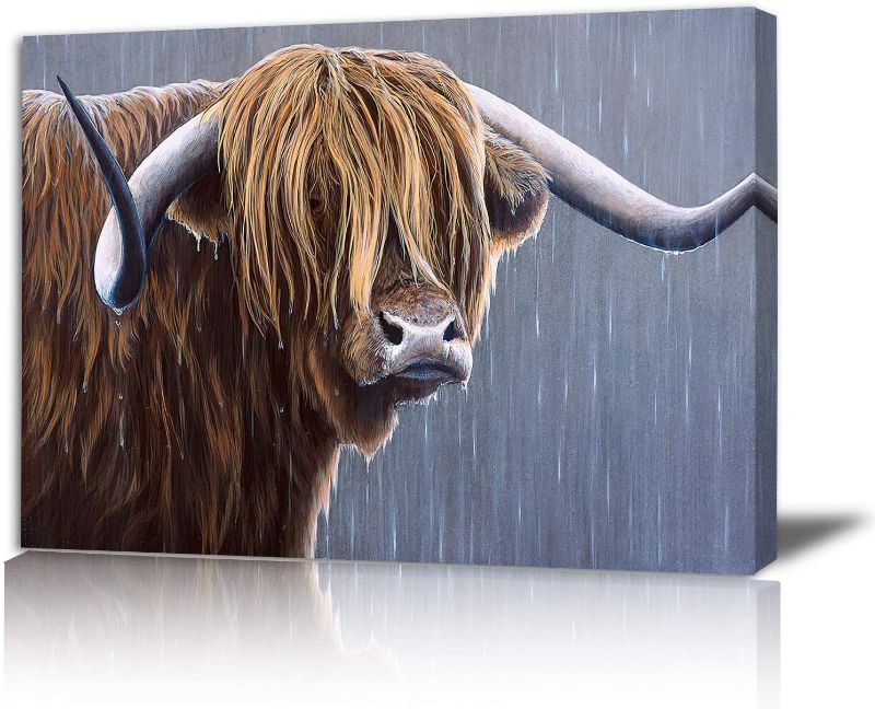 Photo 1 of ANGUSCPYS Highland Cow Canvas Wall Art - Bathroom Fashion Decor Cute Hairy Animal Gray Painting Framed Scottish Freedom Longhorn Bull Print Small Picture Living Room Bedroom Decoration Artwork
