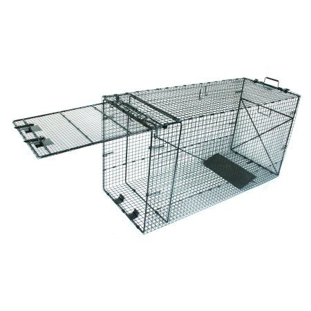 Photo 1 of 50" Super Size Live Folding Dog Trap
