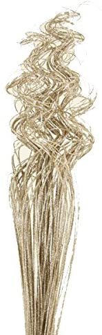 Photo 1 of 24-28" Champagne Sparkle Curly Ting Ting Branch- 2 pack 
