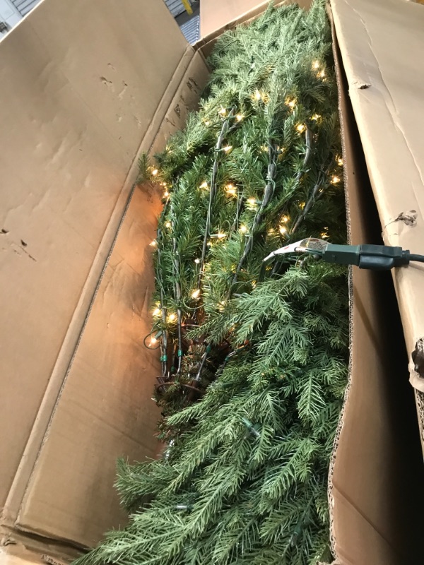 Photo 3 of National Tree 9ft. Nordic Spruce(R) Pre-Lit Medium Tree
