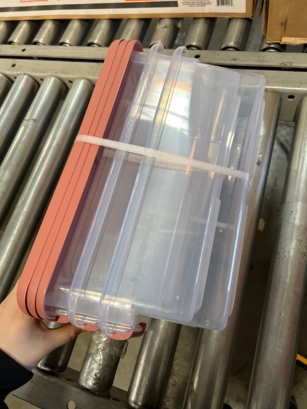 Photo 4 of STERILITE  Latching Box, Clear, pink 3 count 14.12 x 7.62 x 4.88 inches