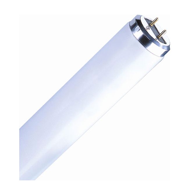 Photo 1 of ***UNABLE TO TEST** Sylvania Sylvania Fluorescent Glass Tube - T12 - 20-Watt - 24-in L - Medium Bi-Pin Base 22252
