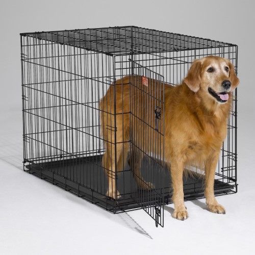 Photo 1 of *READ BELOW** I-Crate for Dogs
