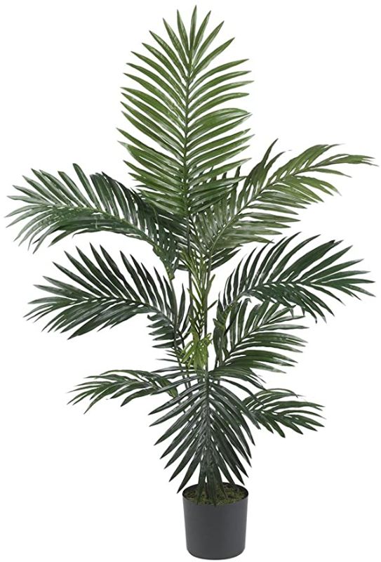 Photo 1 of Nearly Natural 5296 Kentia Palm Silk Tree, 5-Feet, Green,9" x 9" x 62.5"
