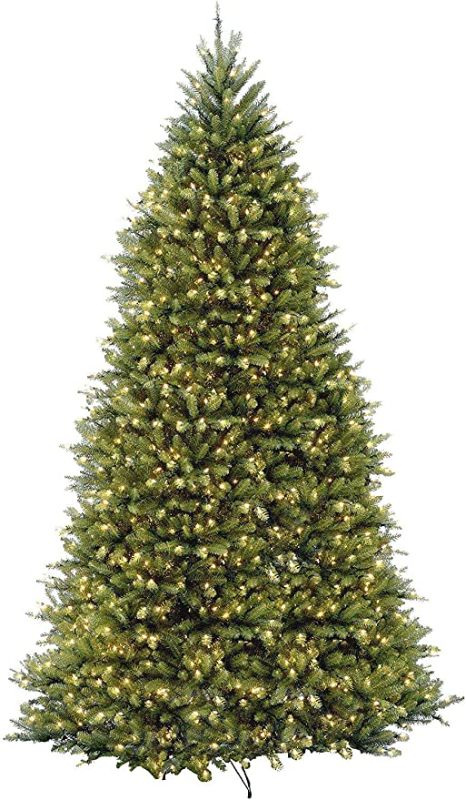 Photo 1 of INCLUDED BOX 1 AND 2--National Tree Company Pre-Lit Artificial Full Christmas Tree, Green, Dunhill Fir, White Lights, Includes Stand, 12 Feet
