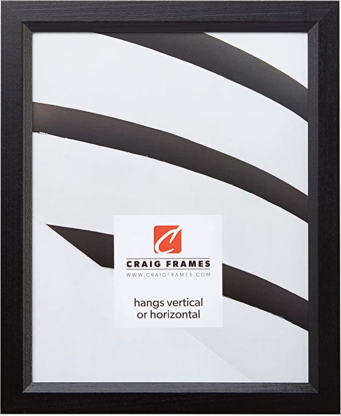 Photo 1 of Craig Frames 7171610BK Wood Grain Finish 20 by 25-Inch Picture/Poster Frame, 0.825-Inch Wide, Solid Black
