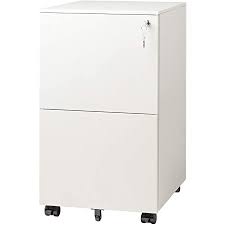 Photo 1 of DEVAISE 2-Drawer Mobile File Cabinet with Lock, Commercial Vertical Cabinet in White
