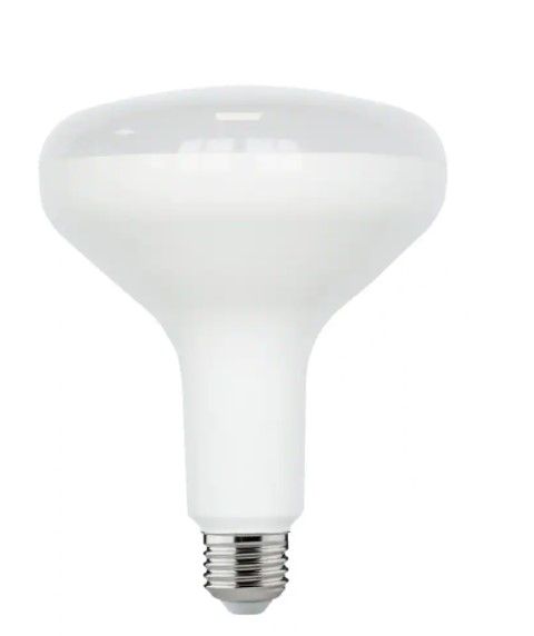 Photo 1 of **PACK OF 4**
75-Watt Equivalent BR40 Dimmable ENERGY STAR LED Light Bulb Soft White 2700K (2-Pack)
