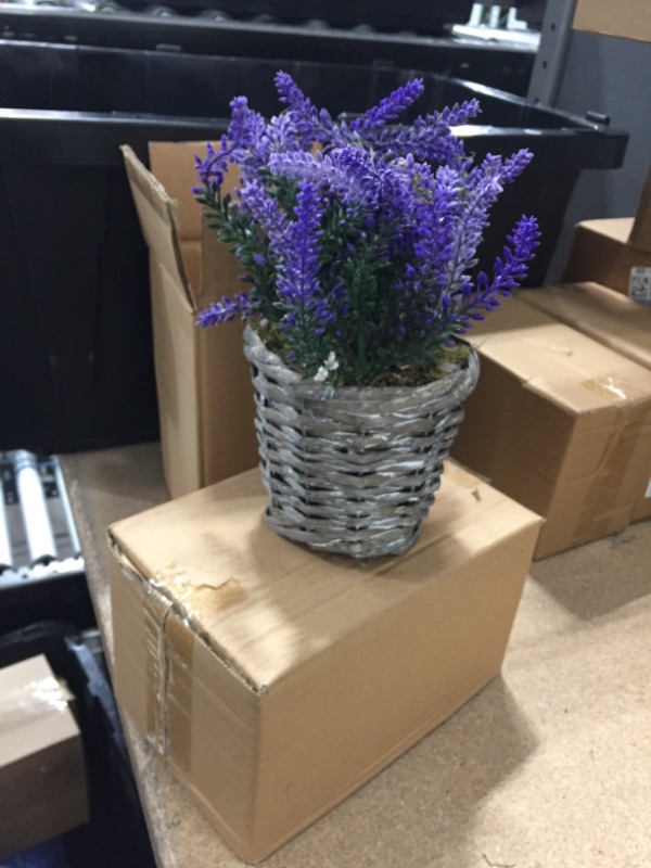 Photo 2 of **SET OF 2** SMALL 
Jusdreen Artificial Flower Potted Lavender Plant for Home Decor Office Indoor Outdoor Artificial Lavender Plants Woven Grass Pot