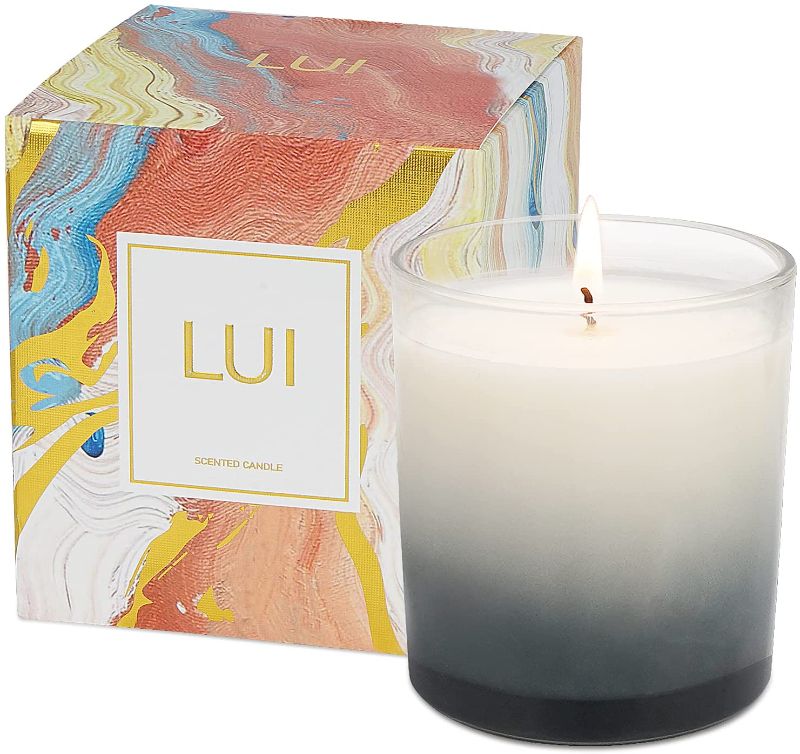 Photo 1 of **SET OF 2**
LUI Wocanbebetter | Premium Soy Wax Scented Candles | 7.4 oz 40 Hours Burning time | All Natural Soy Wax Candles | Aromatherapy Candles with Color Gift Box(Bourbon Wonderland)
