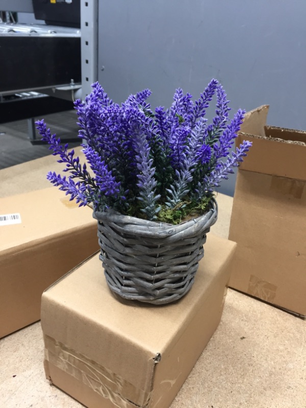 Photo 2 of ***SET OF 3**
Jusdreen Artificial Flower Potted Lavender Fake Flowers Plant, Lifelike Faux Silk Flower Arrangement,Table Centerpiece, for Home Decor Office Indoor Outdoor Artificial Lavender Plants Woven Grass Pot
