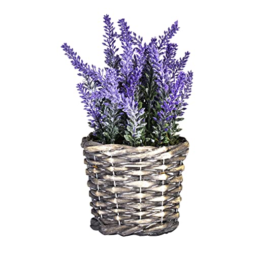 Photo 1 of ***SET OF 3**
Jusdreen Artificial Flower Potted Lavender Fake Flowers Plant, Lifelike Faux Silk Flower Arrangement,Table Centerpiece, for Home Decor Office Indoor Outdoor Artificial Lavender Plants Woven Grass Pot
