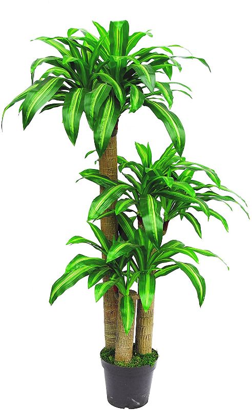 Photo 1 of AMERIQUE 691322305234 5.3 Gorgeous Tropical Dracaena Tree Artificial Silk Plant with UV Protection, with Pot, Feel Real Technology, Super Quality, 5', Green
