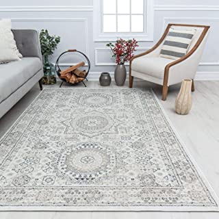 Photo 1 of Rugs America HY60L Area Rug, 2 ft 6 in x 4 ft, Balboa Mist