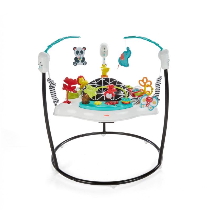 Photo 1 of Fisher-Price(r) Animal Wonders Jumperoo(r)
