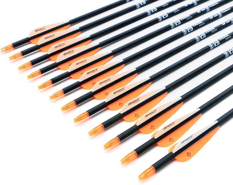 Photo 1 of ***DIFFERENT FROM STOCK PHOTO**
ARCHERY 25Inch Carbon Arrow Practice Hunting Arrows with Removable Tips for Compound, (PACK OF 12)