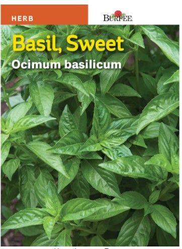 Photo 1 of 15 PACKS OF- Basil Sweet Seed- PASSED SELL BY DATE **SOLD AS IS**
