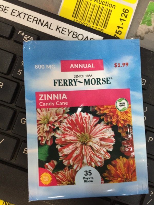 Photo 2 of 
Ferry-Morse
Zinnia Candy Cane Seed PACK OF 10 