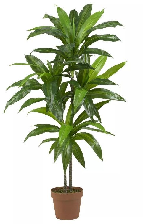 Photo 1 of 3.5ft Artificial Dracaena Silk Plant in Pot - Nearly Natural