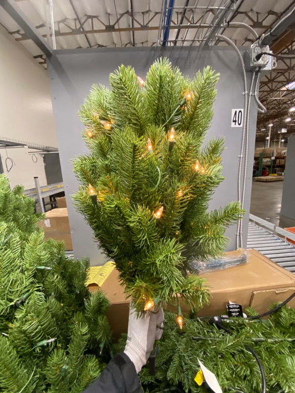 Photo 1 of National Tree Company Pre-Lit Artificial Full Christmas Tree, Green, Dunhill Fir, White Lights, Includes Stand, 6 Feet
