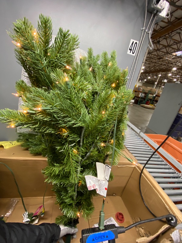 Photo 1 of National Tree Company Pre-Lit Artificial Full Christmas Tree, Green, Dunhill Fir, White Lights, Includes Stand, 6 Feet
