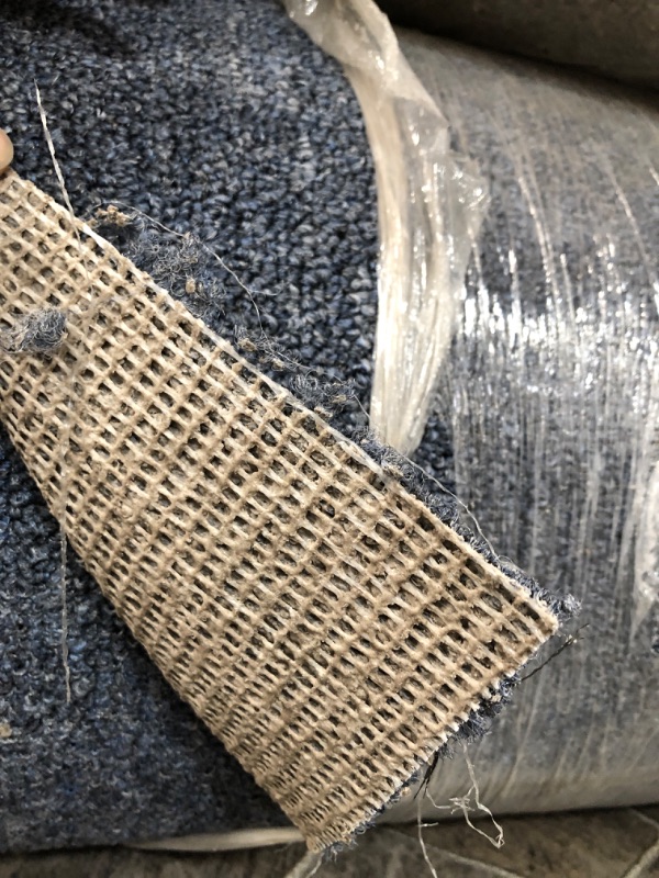 Photo 1 of 12 FT W. House, Home and More Indoor  Carpet with   SECONDARY BACKING  LENGTH UNKNOWN 1 ROLL ,BLUE