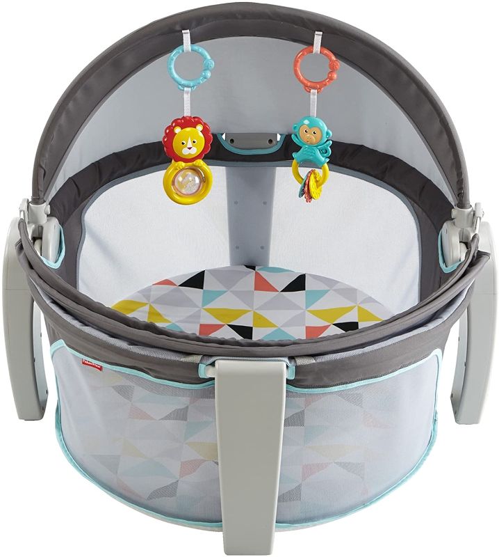 Photo 1 of Fisher-Price On-the-Go Baby Dome, Grey/Blue/Yellow/White
