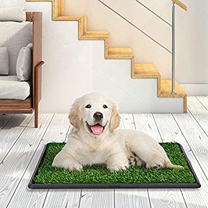 Photo 1 of  Pet Potty Pad Artificial Grass Trainer 25 IN X 20 IN 