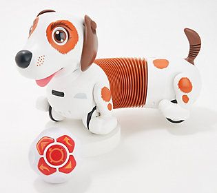 Photo 1 of Dash - Your Playful Puppy Pal - Electronic Pet
