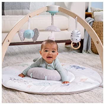 Photo 1 of aden + anais Play and Discover Baby Activity Gym – 30+ Developmental Benefits - 3 Attachable Toys + Plush Tummy Time Pillow – 100% Cotton Muslin – Machine Washable
