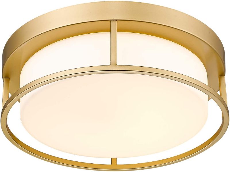 Photo 1 of LED Ceiling Light Fixture Gold Finish with Frosted Glass, Round Close to Ceiling Lights similar to stock photo 