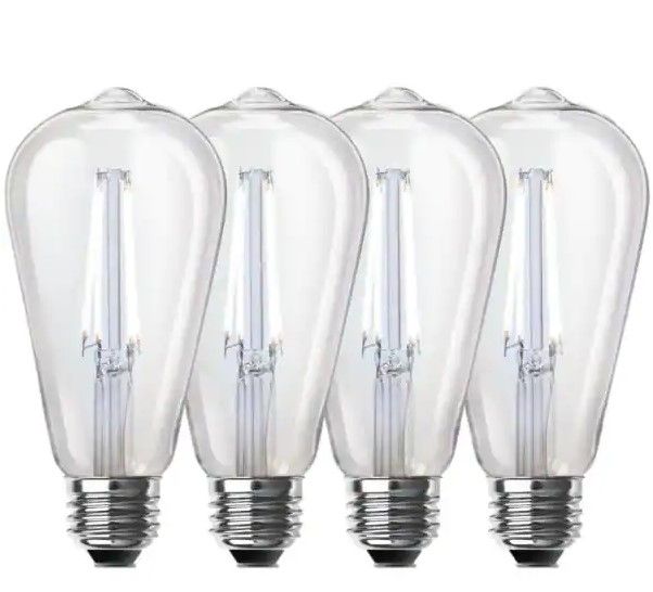 Photo 1 of 
Feit Electric
60-Watt Equivalent ST19 Dimmable Straight Filament Clear Glass Vintage Edison LED Light Bulb, Daylight (4-Pack)