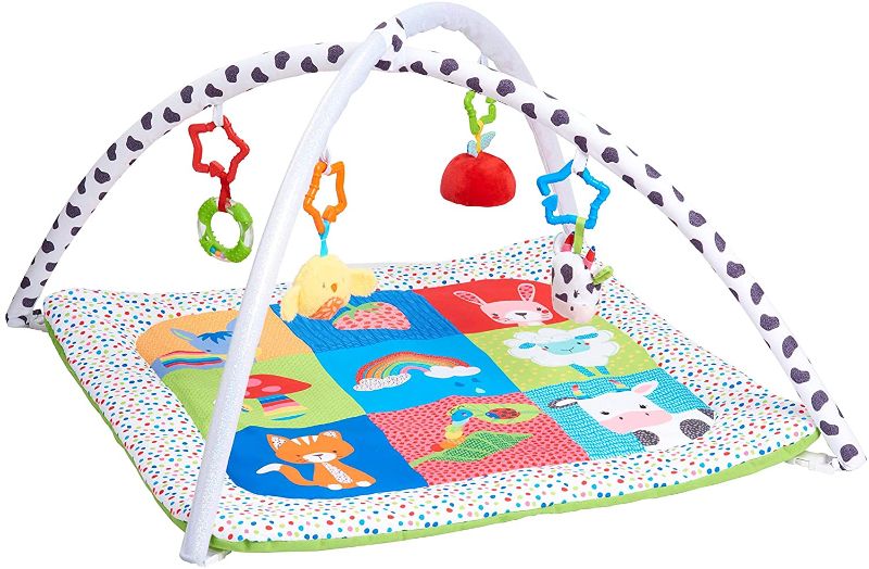 Photo 1 of Early Learning Centre Blossom Farm Playmat & Arch, Physical Development