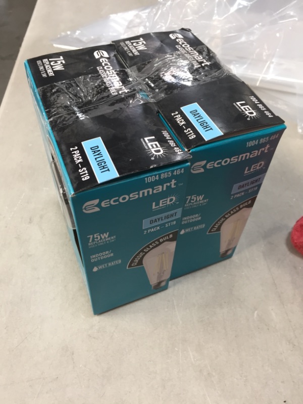 Photo 1 of SET OF 2 EcoSmart 75-Watt Equivalent ST19 Antique Edison Dimmable Clear Glass Filament Vintage Style LED Light Bulb Daylight (2-Pack)
